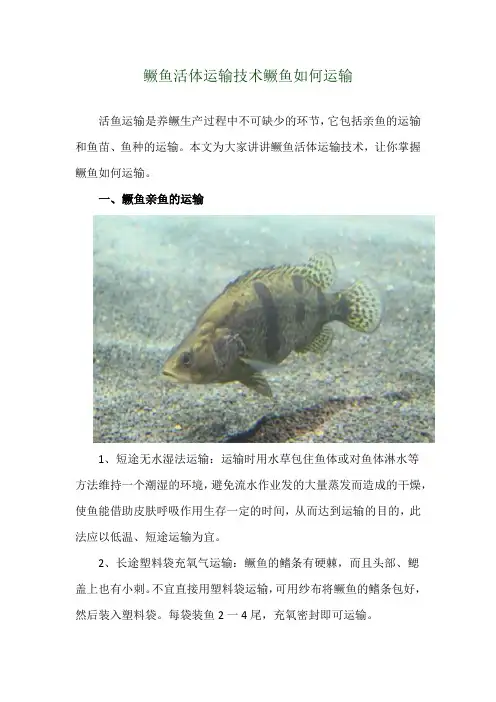 鳜鱼活体运输技术 鳜鱼如何运输