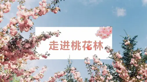 幼儿园小学美术PPT课件教案教程创意幼教手工《走进桃花林》