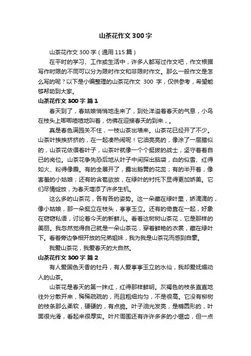 山茶花作文300字