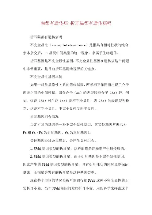 狗都有遗传病-折耳猫都有遗传病吗