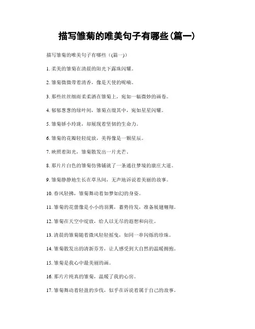 描写雏菊的唯美句子有哪些(精选两篇)