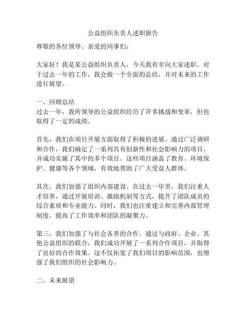 公益组织负责人述职报告