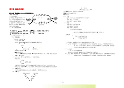 高中生物： 第3章 细胞的代谢(教案)浙科版必修1