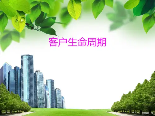 客户生命周期