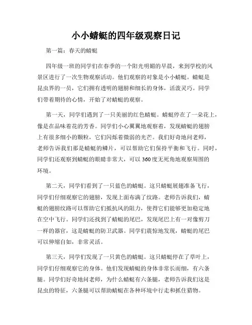小小蜻蜓的四年级观察日记