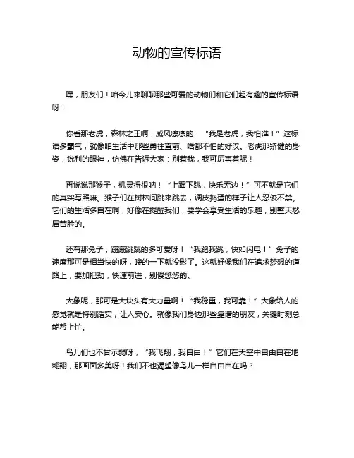 动物的宣传标语