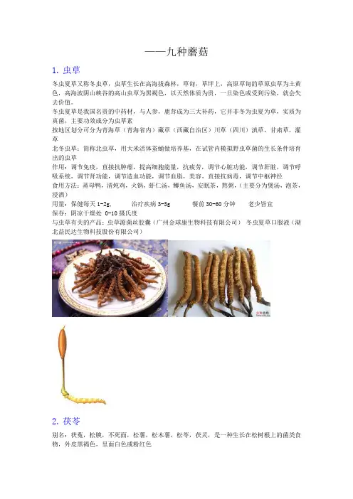 九种蘑菇