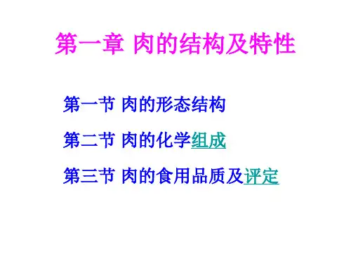 第一章 肉的结构及特性
