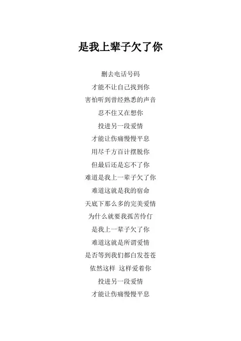 郑源《难道是我上辈子欠了你》歌词(专辑：包容)