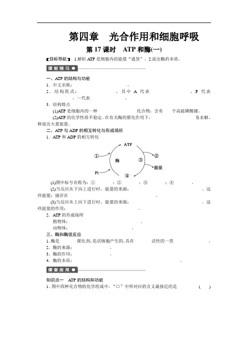 高一生物苏教必修课时作业：第四章 第课时 ATP和酶一 含解析
