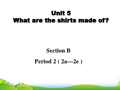 人教版英语九全Unit5 Section B(2a-2e) 课件(共26张PPT)