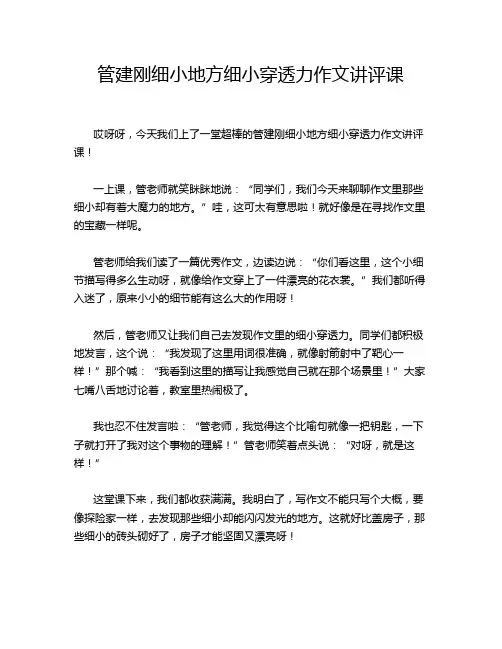 管建刚细小地方细小穿透力作文讲评课