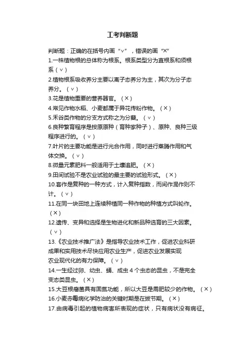 工考判断题