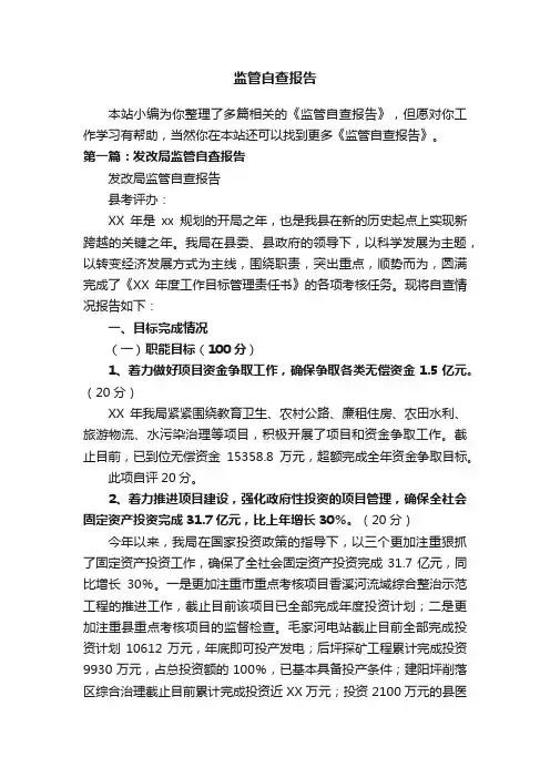 监管自查报告