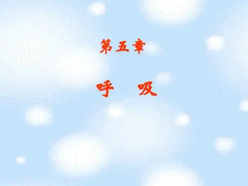 5 呼吸