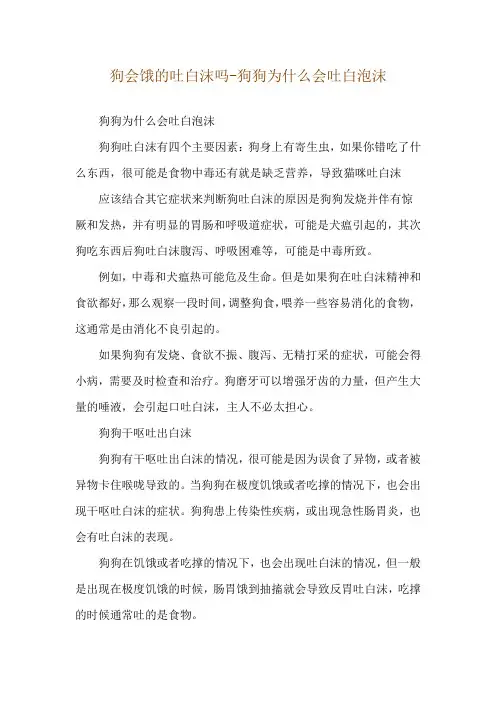 狗会饿的吐白沫吗-狗狗为什么会吐白泡沫