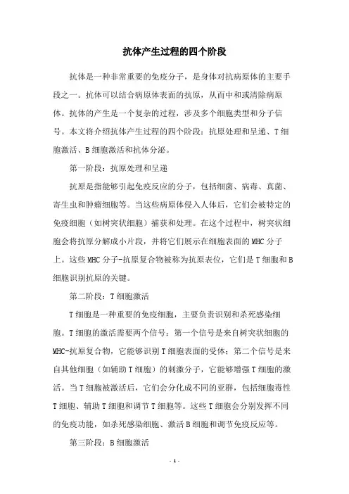 抗体产生过程的四个阶段