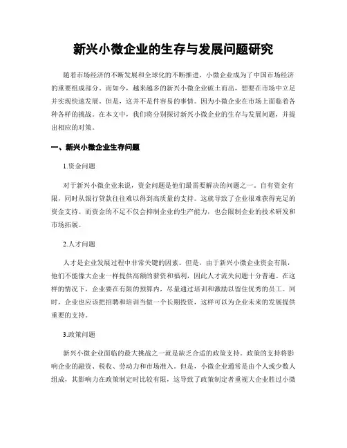 新兴小微企业的生存与发展问题研究