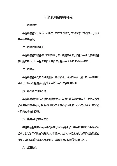 平滑肌细胞结构特点
