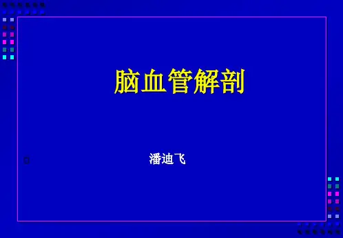 脑血管解剖图解
