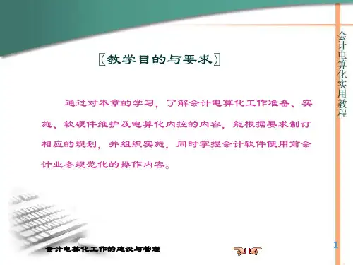 会计电算化的建设与管理概述45页PPT