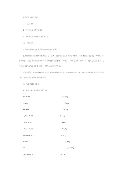 植物的组织培养技术