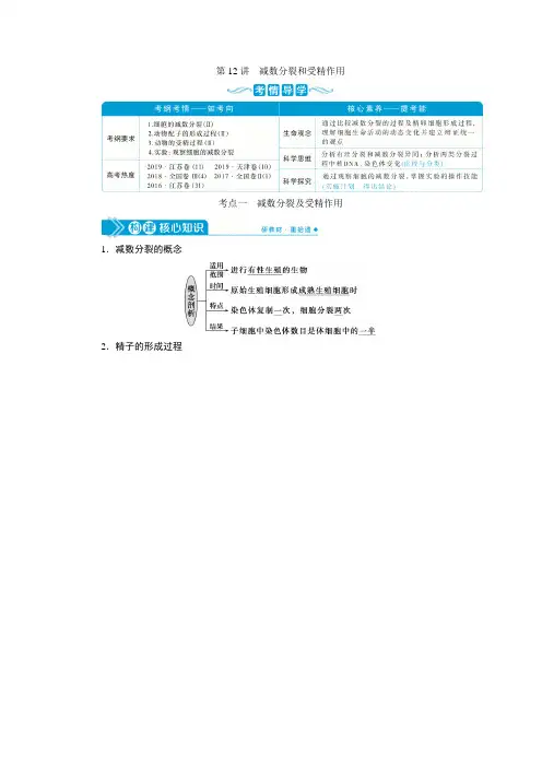 2021版高考生物(人教版)一轮复习学案：第四单元 第12讲 减数分裂和受精作用 Word版含答案