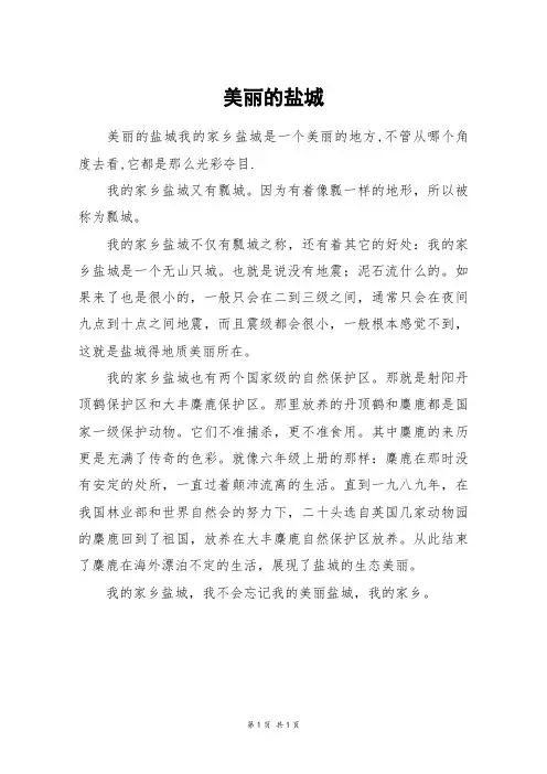 美丽的盐城_六年级作文_1