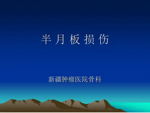 半月板损伤标准演示幻灯片
