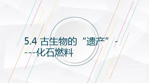 5.4古生物的”遗产“---化石燃料-科粤版九年级上册化学课件(共17张PPT)