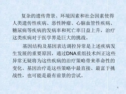 病毒载体PPT课件