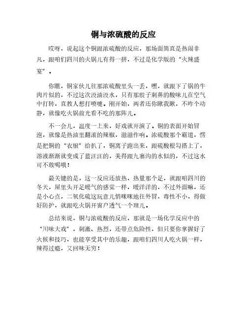 铜加浓硫酸的反应