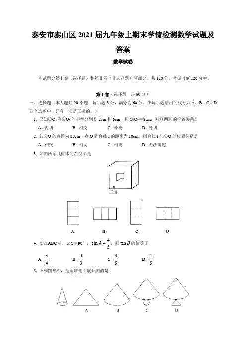 泰安市泰山区2021届九年级上期末学情检测数学试题及答案