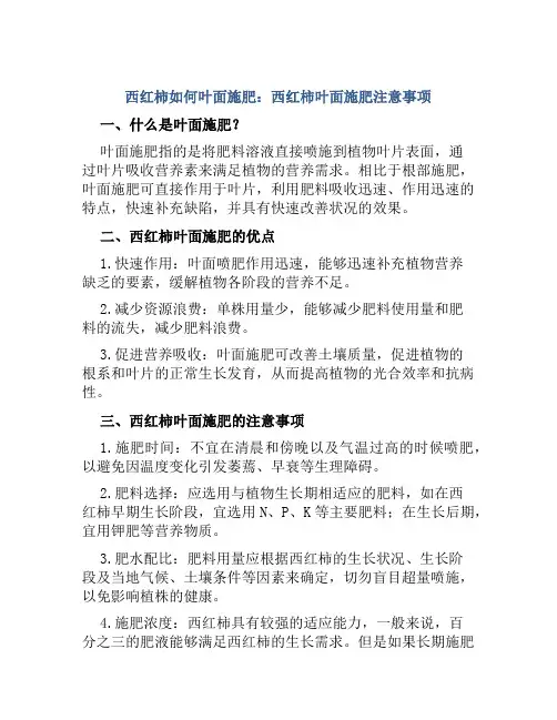 西红柿如何叶面施肥西红柿叶面施肥注意事项