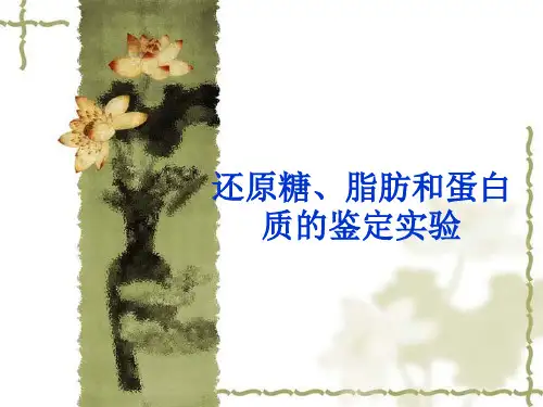 蛋白质糖类脂质的实验鉴定
