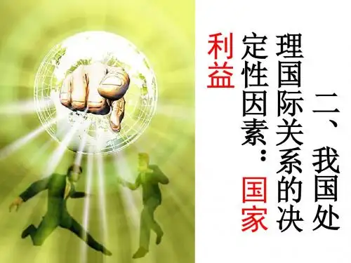 高一政治国家利益2