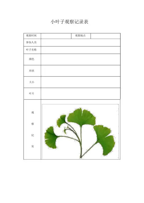 植物观察记录范文表.doc