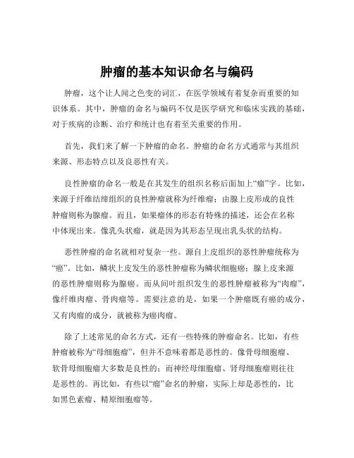 肿瘤的基本知识命名与编码
