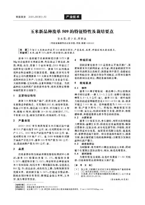 玉米新品种浚单509的特征特性及栽培要点
