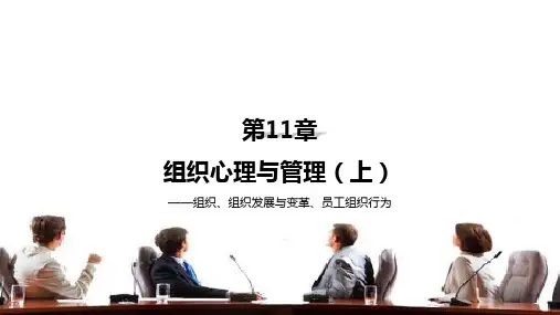 第十一章 组织心理与管理 《管理心理学》PPT课件