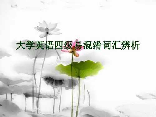 大学英语四级CET4 近义词辨析