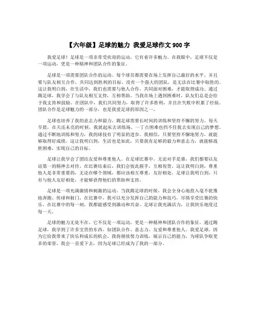 【六年级】足球的魅力 我爱足球作文900字