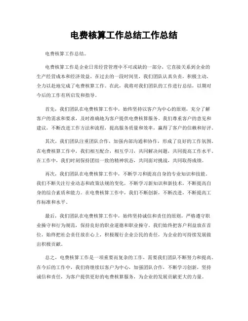 电费核算工作总结工作总结