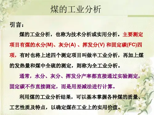 煤的工业分析