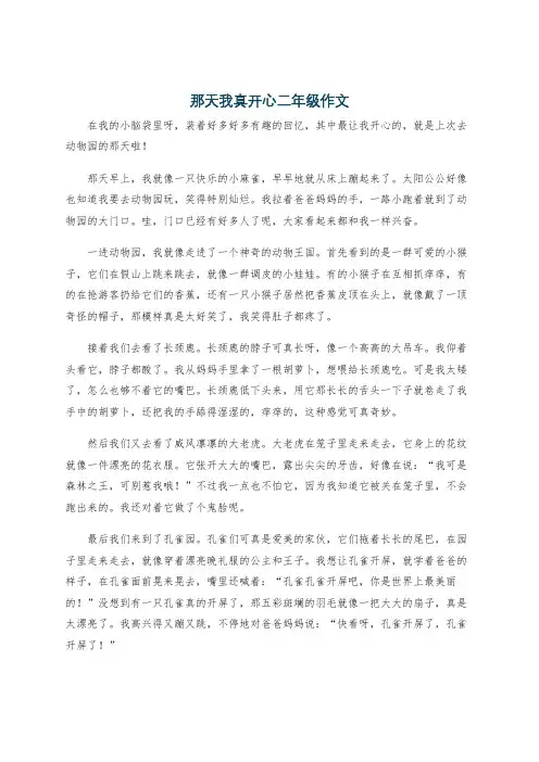 那天我真开心二年级作文