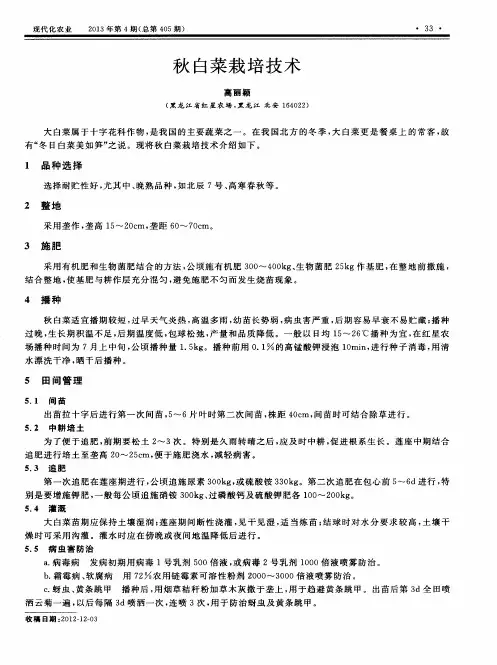 秋白菜栽培技术