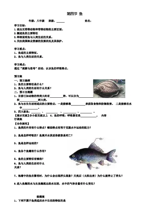 人教版八年级上册生物导学案：4.第四节鱼(附模拟试卷含答案)