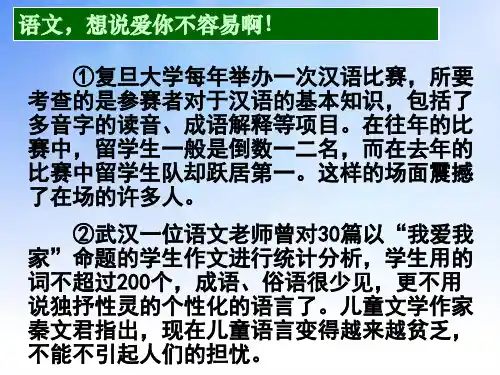 语文的魅力(实用).ppt