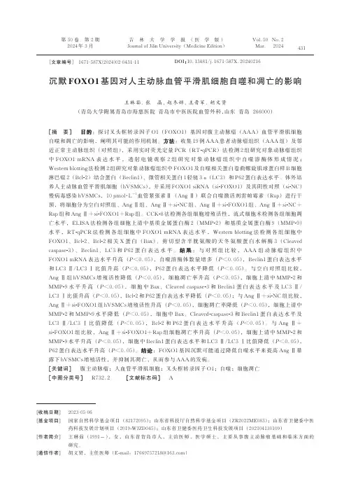 沉默FOXO1_基因对人主动脉血管平滑肌细胞自噬和凋亡的影响