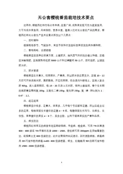 无公害樱桃番茄栽培技术要点